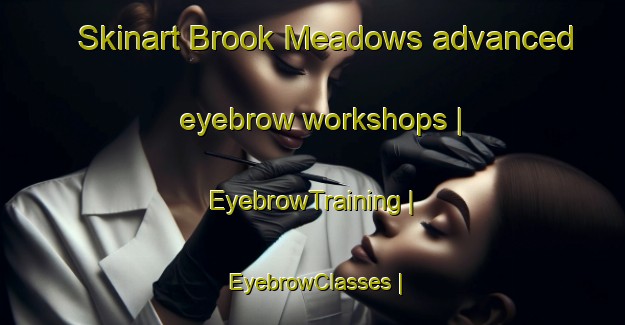 Skinart Brook Meadows advanced eyebrow workshops | EyebrowTraining | EyebrowClasses | SkinartTraining-United States
